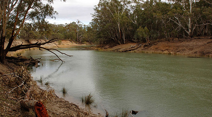 The Murrumbidgee River near Hay in New South Wales. Photo: Arthur Mostead, Murray-Darling Basin Authority.